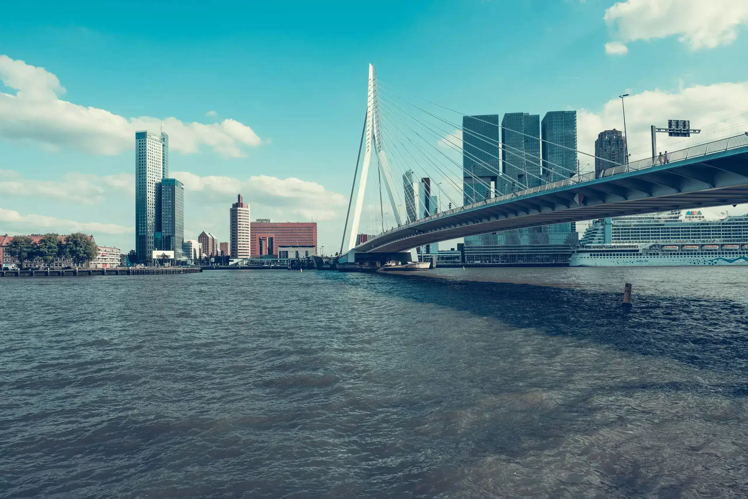 Slotenmaker GOUD foto van erasmus brug